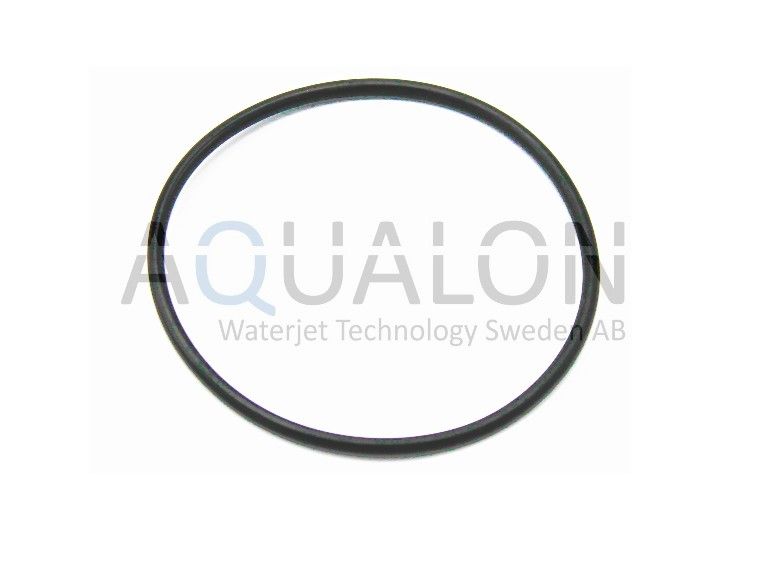 O-ring, Air actuator, 204549