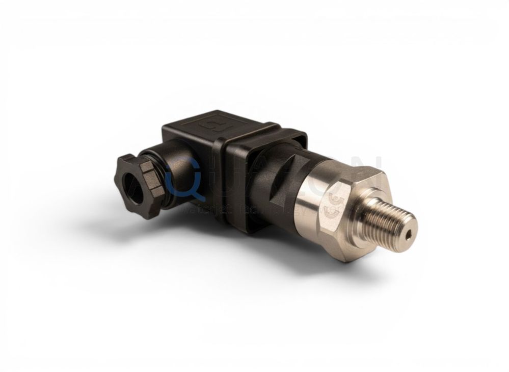 Pressure switch, 100 PSI, 72131267 