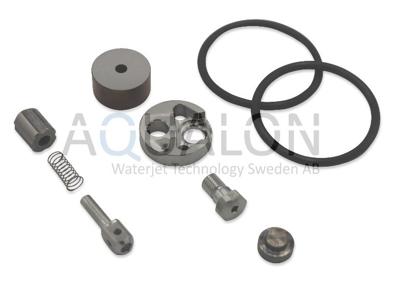 Check Valve repair kit, 302003-2